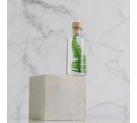 Plante immergée fougère montagnes h12