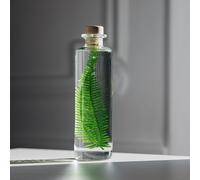 Plante immergée fougère montagnes h21