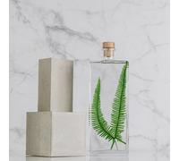 Plante immergée fougère montagnes h26