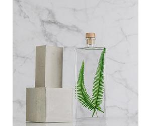 Plante immergée fougère montagnes h26