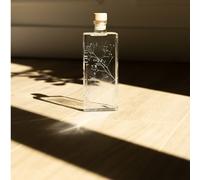 Plante immergée gypsophile bleue h17