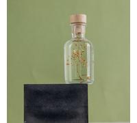 Plante immergée gypsophile or h10