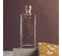 Plante immergée gypsophile or h17