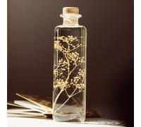 Plante immergée gypsophile or h21