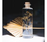 Plante immergée gypsophile or h23