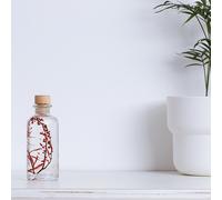 Plante immergée lepidium rouge h12