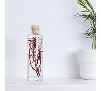 Plante immergée lepidium rouge h21