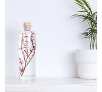 Plante immergée lepidium rouge h23