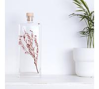 Plante immergée lepidium rouge h26