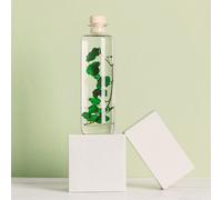 Plante immergée lierre helix vert h21