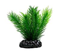 PLANTE MAYACA 7 cm HOBBY---- 51584
