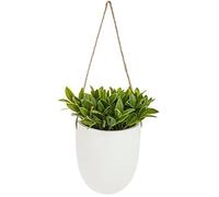 Plante Murale Suspendue - ATMOSPHERA - H20 - Grès - Plastique - Jute Végétal