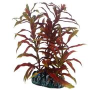 PLANTE NESAEA 13 cm HOBBY-- 51570
