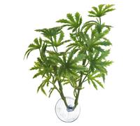 Plante papaye pour aquarium Zoomed Betta BP21 Vert TU