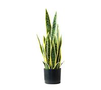 Plante serpent nordique - 65 cm - Arbre d'agave artificiel - Décoration d'intérieur et d'extérieur en pot - Plantes artificielles réalistes pour la maison, le bureau et le jardin