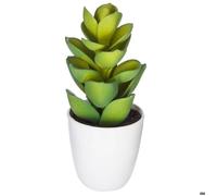 Atmosphera - Plante succulente et Cactus H18 - Modèle 5