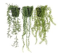 Ligne Déco - Lot de 3 Plantes Succulentes Artificielles Retombantes 40/60 cm | Plante Artificielle Pot Plastique Noir Intérieur Imitation Terre | Decoration Maison Réaliste | Fausse Plante Intérieur