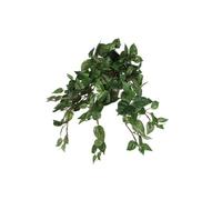 Plante suspendue artificielle Mica Decorations Scindapsus hanging Vert Polyester H25xl25xL45cm