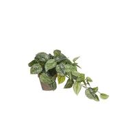 Plante suspendue artificielle Mica Decorations Scindapsus Vert Plastique H44xl17xL17cm