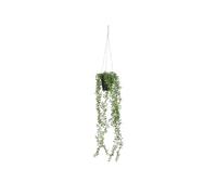 Plante suspendue artificielle Mica Decorations Senecio Vert Plastique H68xl9xL9cm