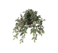 Plante suspendue artificielle Mica Decorations Tradescantia Vert Polyester H25xl25xL45cm
