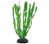 PLANTE VALLISNERIA 20 cm HOBBY--- 41507