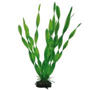 PLANTE VALLISNERIA 34 cm HOBBY-- 41508