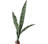 Plante verte artificielle d'intérieur style serpent pour une utilisation dans les espaces loués où les plantes vivantes sont restreintes (vert clair)