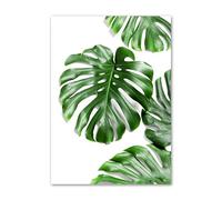 Plante verte Monstera aloès feuille de palmier mur Art toile peinture tropicale for salon mur photos nordique affiches et impressions (Color : A, Size : 50x70cm No Frame)