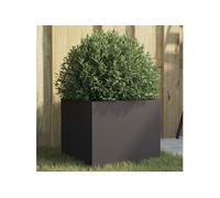 Jardinières Bacs à Fleurs Pots de Plantes Jardin 2 pcs Acier Corten vidaXL