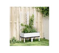 Jardinière avec Treillis Lit Surélevé Pot de Fleurs Jardin Terrasse PP vidaXL