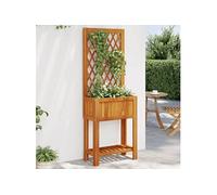vidaXL Jardinière avec treillis et étagère Bois massif d'acacia 55x29,5x152 cm