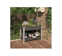 Lit surélevé de jardin avec étagère Gris 200x50x75 cm WPC jardinière vidaXL