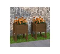 822114 vidaXL Jardinières 2 pcs Marron miel 40x40x52,5 cm Bois massif de pin Marron G