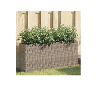Vidaxl Jardinières Avec 2 Pots 2 Pcs Gris 90x20x40 Cm Résine Tressée