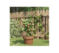 vidaXL Supports pour plantes de jardin 3 anneaux – Lot de 5 pièces Vert 45 cm Acier 319372