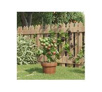 Plantensteunen 5 st met 3 ringen 60 cm staal groen319373