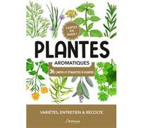 Collectif – Plantes aromatiques – Variétés, entretien et récolte – Artemis