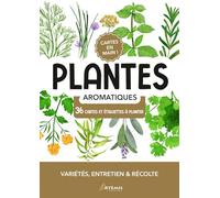 Plantes aromatiques: Variétés, entretien et récolte