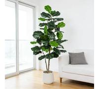 Plantes Artificielle Figuier à Feuilles Intérieur - 150cm Fausse Plante Grande Décoratives avec Jardinière Blanche pour la Décoration de la Maison, Bureau, Salle de Séjour etc.