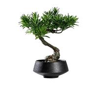 Plantes Artificielles, Arbre D'Exposition, Nouvel Arbre Bonsaï Artificiel Chinois, Simulation, Pin Vert, Plante De Bienvenue, Petits Ornements Bonsaï, Table Basse, Bureau, Cave À Vin, Plante Bonsaï,