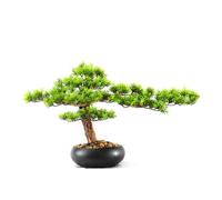 Plantes Artificielles Bonsaï Bonsaï de pin Bienvenue, Ornements Simulation Racine Plante, décorations Maison, d'entrée, d'hôtel, Chambre modèle