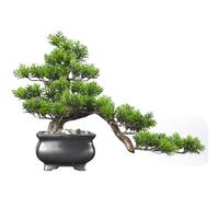 Plantes Artificielles Bonsaï Simulation de bonsaï Verdure, cyprès, Plante pin Bienvenue, Ornements artisanaux, décorations Salle modèle for la Maison