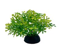 Plantes artificielles en Plastique Décoration, Lot de 20 Plantes artificielles for Aquarium, en Plastique, Multicolores, Hauteur 5 cm, décoration for Aquarium(7)
