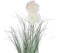 Plantes artificielles en pot Bocksbart 58cm Décoration Fleurs artificielles Herbes