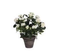 Plantes artificielles en pot - Mica Decorations - Rosier - H33 x Ø25 cm - Blanc - Aspect naturel