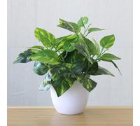 Plantes artificielles en pot pour décoration de bureau, rebord de fenêtre, bureau, bibliothèque, petite table basse, style pastoral rétro (B)