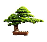 Plantes artificielles Nouvel Arbre bonsaï de pin de Style Chinois, Ornement de Bienvenue