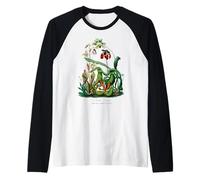 Plantes botaniques Carnivores Sarracenia Vintage Manche Raglan