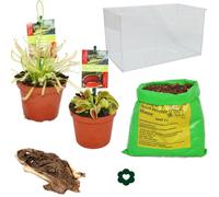 Plantes carnivores - Aquarium à l'usine propre - petits
